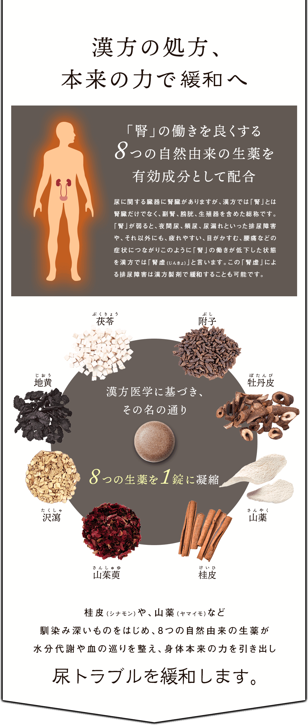 漢方の生薬処方、本来の力で改善へ