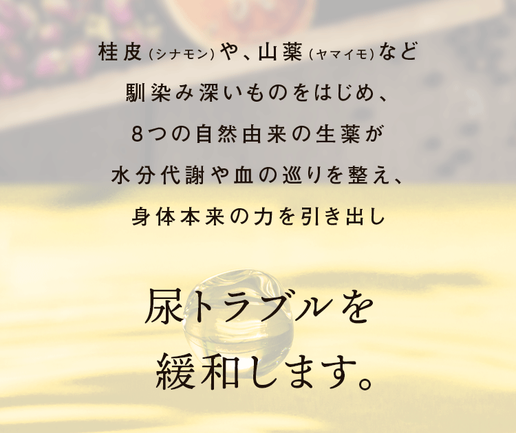 尿トラブルを改善へと導きます。