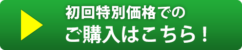 奈良八味地黄丸錠SP初回限定価格を購入する