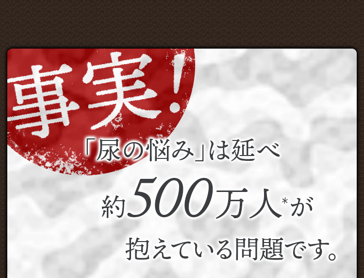 「尿の悩み」は延べ約500マン人が抱えている問題です。