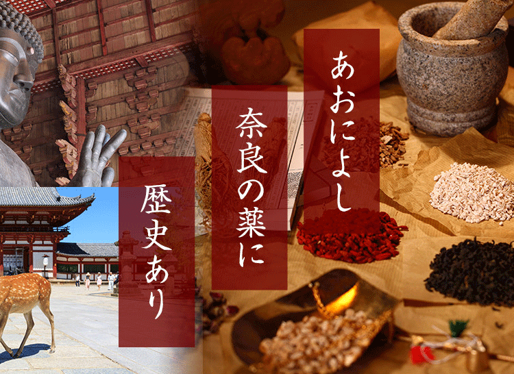 あおによし奈良の薬に歴史あり